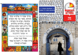 Momenti di Torah Yiar 5775 - E