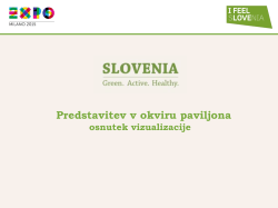 Priloga 3 - Vizualizacija, predstavitev v okviru paviljona