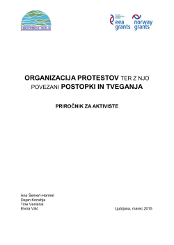 Organizacija protestov ter z njo povezani postopki in tveganja, Ana