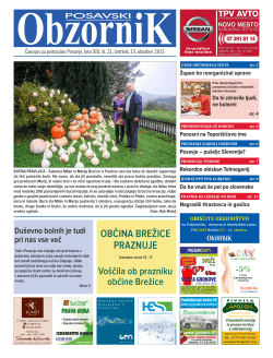 brežice - Zavod Neviodunum