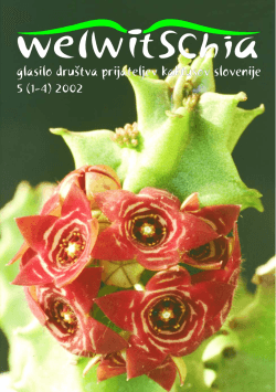 Welwitschia 5 (1_4) (2002) - Društvo prijateljev kaktusov Slovenije