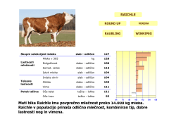 Mati bika Raichle ima povprečno mlečnost preko 14.000 kg mleka