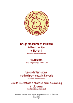 Druga mednarodna razstava šetland ponijev v Sloveniji 18.10.2014