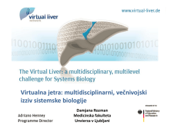 Izbrani primer: Virtual liver