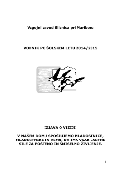 Vzgojni zavod Slivnica pri Mariboru – publikacija 2005/2006