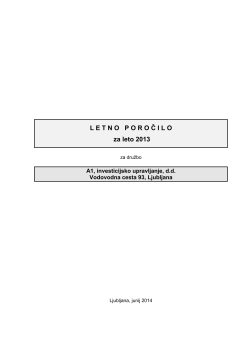 letno poročilo 2013