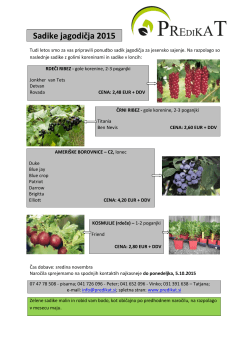Ponudba sadik jagodičja jesen 2015