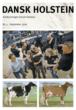Dansk Holstein