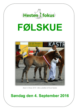 Katalog - Hesten i Fokus