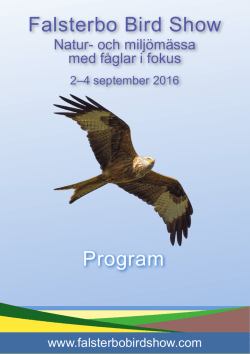 Här är hela programmet för Falsterbo Bird Show