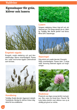 Egenskaper för gräs, klöver och lusern