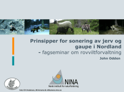 NINA - Jerv og gaupe i Nordland