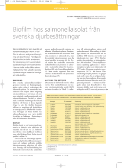 Biofilm hos salmonellaisolat från svenska djurbesättningar