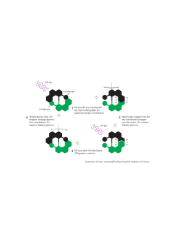 Molekylär motor (pdf 820 kb)