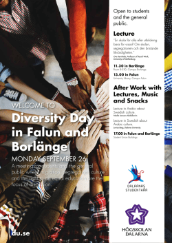 Diversity Day in Falun and Borlänge