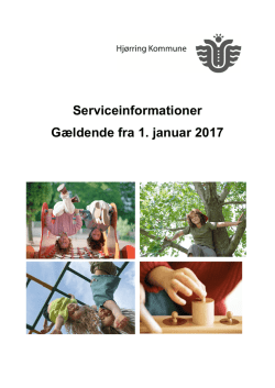 Serviceinformationer Gældende fra 1. januar 2017