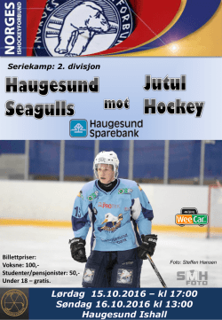 2. divisjon - Haugesund Ishockeyklubb – Seagulls