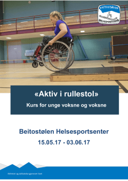 Aktiv i rullestol - Beitostølen Helsesportsenter