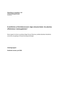 En jämförelse av företrädaransvaret i några relevanta länder. Hur
