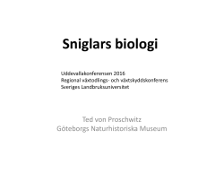 Sniglars biologi