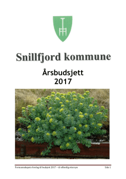 Budsjettforslag - Snillfjord kommune