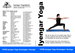 Iyengar Yogaskolor