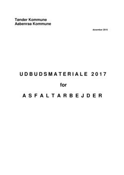 Udbudsmateriale - Tønder Kommune