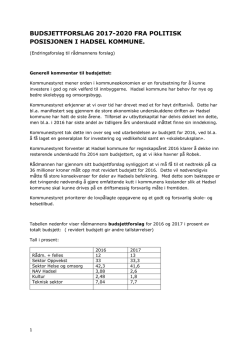 budsjettforslag 2017-2020 fra politisk posisjonen i hadsel kommune.