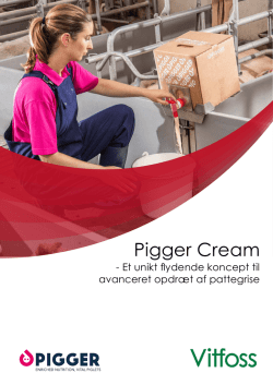 Pigger Cream