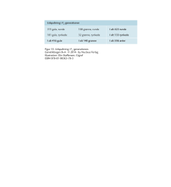 Figur 33. Udspaltning i F2-generationen.