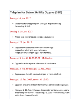 Tidsplan for SSO