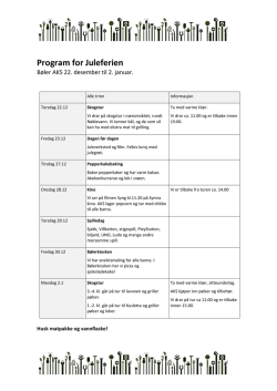 Program for Juleferien