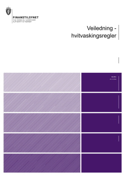 Veiledning - hvitvaskingsregler