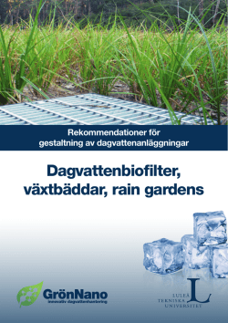 Dagvattenbiofilter, växtbäddar, rain gardens