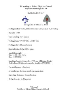 DM inne i Trelleborg 25 februari