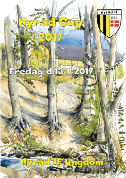 Nyråd Cup 2017