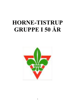 Spejdere i Horne - Horne Sognearkiv