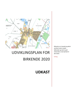udviklingsplan for birkende 2020 udkast
