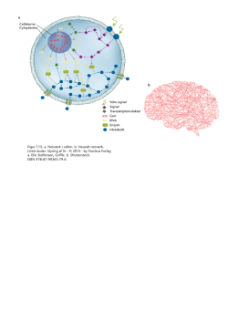 Figur 115. a. Netværk i cellen. b. Neuralt netværk.