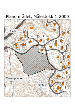 Planområdet - Vinje kommune