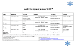 Aktivitetsplan januar 2017