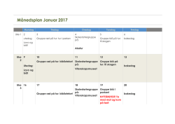 Månedsplan Januar 2017