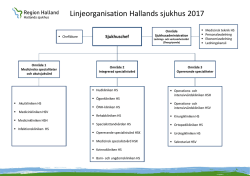 Linjeorganisation Hallands sjukhus 2017
