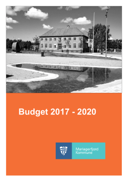Hent budgettet for 2017