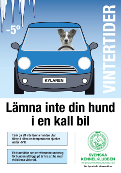 Affisch Lämna inte din hund i en kall bil