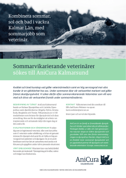 Sommarvikarierane veterinärer söks till AniCura Kalmarsund
