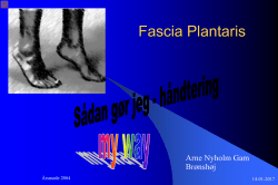 Fascia Plantaris