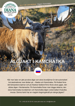 Älgjakt i Kamchatka