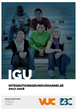 integrationsgrunduddannelse 2017-2018