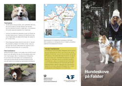 Hundeskove på Falster - Marielyst Grundejerforening